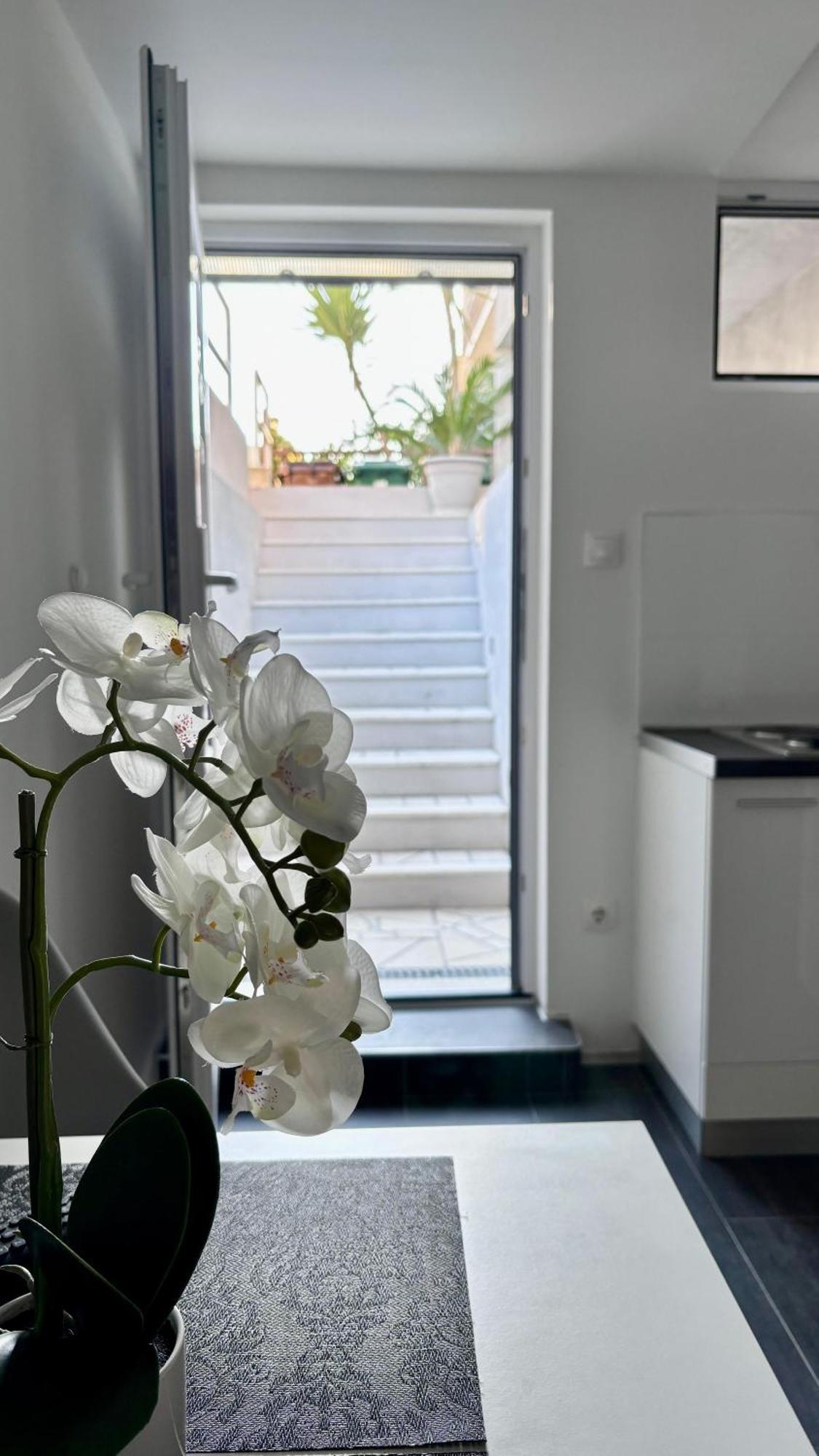 Apartman Branka *** Split Bagian luar foto